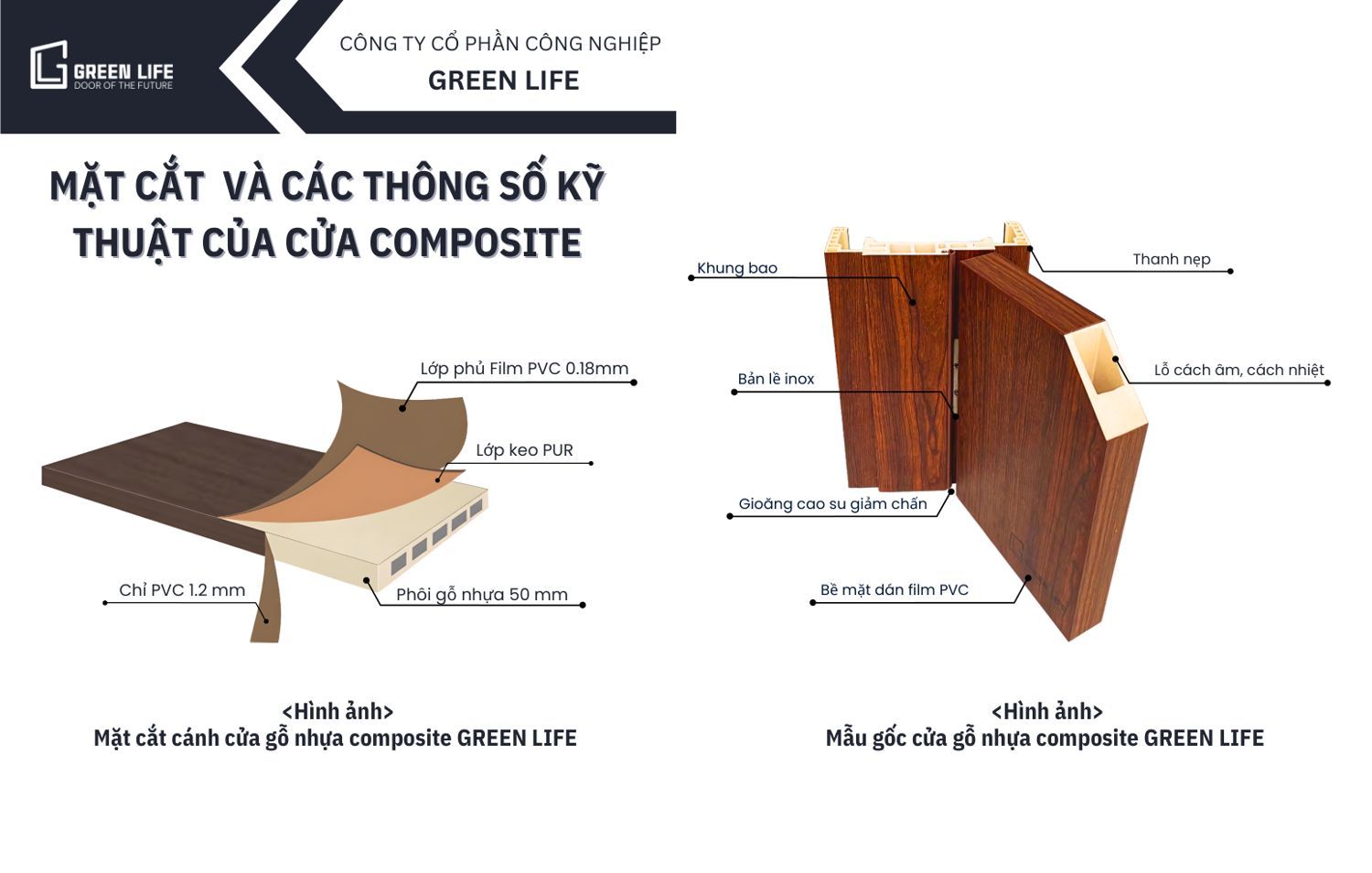 Mặt cắt và cấu tạo cửa gỗ nhựa composite Green Life